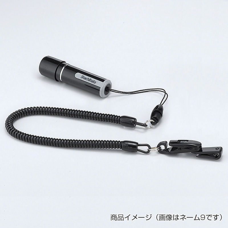 データ入稿でオリジナル印面 ネーム9 カールコード付｜シャチハタ館